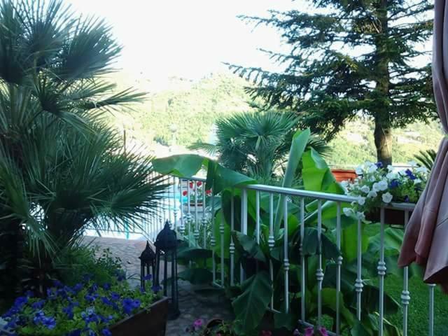 Villa Fernanda Cava De' Tirreni Exterior photo